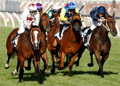 Kingston Town Classic Tips & Preview .